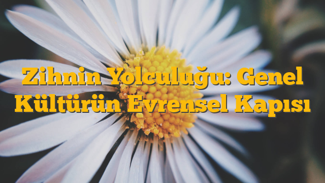 Zihnin Yolculuğu: Genel Kültürün Evrensel Kapısı