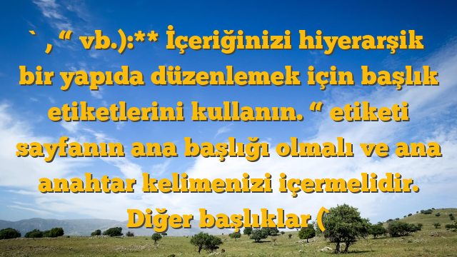 `, “ vb.):** İçeriğinizi hiyerarşik bir yapıda düzenlemek için başlık etiketlerini kullanın. “ etiketi sayfanın ana başlığı olmalı ve ana anahtar kelimenizi içermelidir. Diğer başlıklar (`