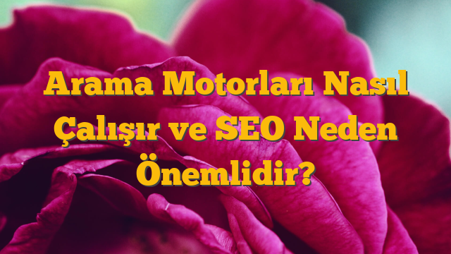 Arama Motorları Nasıl Çalışır ve SEO Neden Önemlidir?