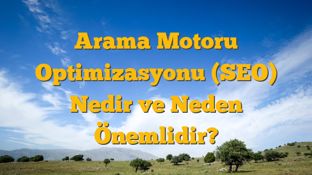 Arama Motoru Optimizasyonu (SEO) Nedir ve Neden Önemlidir?