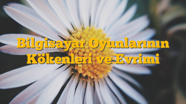 Bilgisayar Oyunlarının Kökenleri ve Evrimi