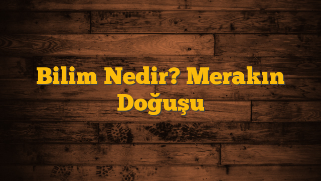 Bilim Nedir? Merakın Doğuşu