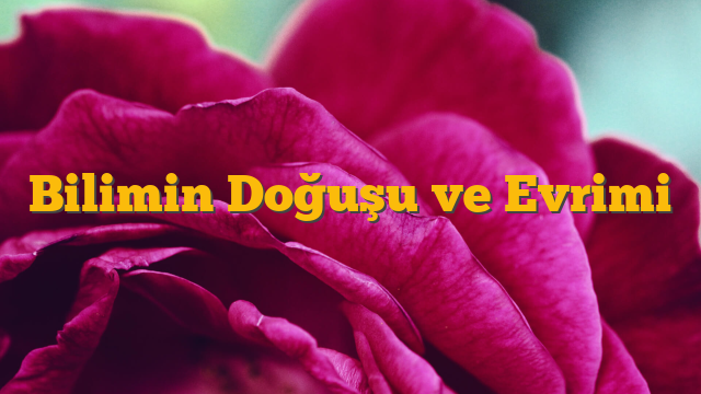 Bilimin Doğuşu ve Evrimi