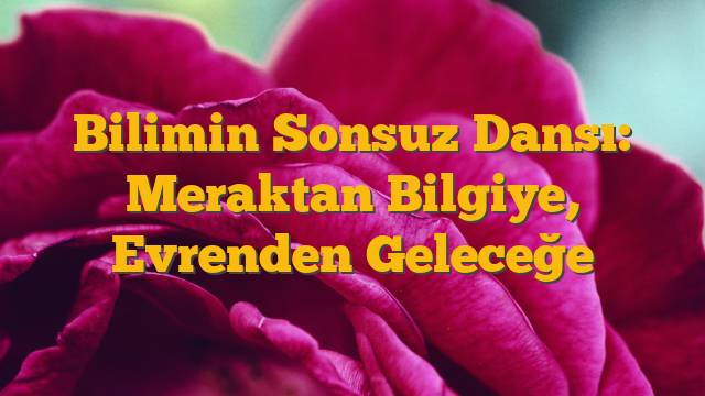Bilimin Sonsuz Dansı: Meraktan Bilgiye, Evrenden Geleceğe