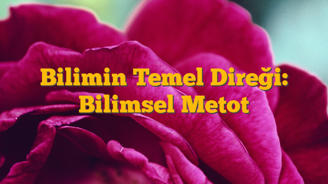 Bilimin Temel Direği: Bilimsel Metot
