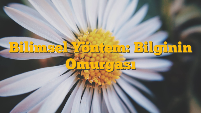 Bilimsel Yöntem: Bilginin Omurgası
