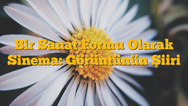 Bir Sanat Formu Olarak Sinema: Görüntünün Şiiri