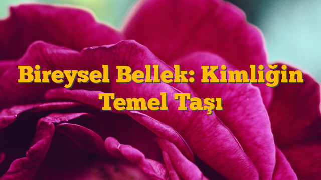 Bireysel Bellek: Kimliğin Temel Taşı