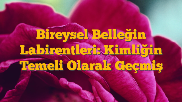 Bireysel Belleğin Labirentleri: Kimliğin Temeli Olarak Geçmiş