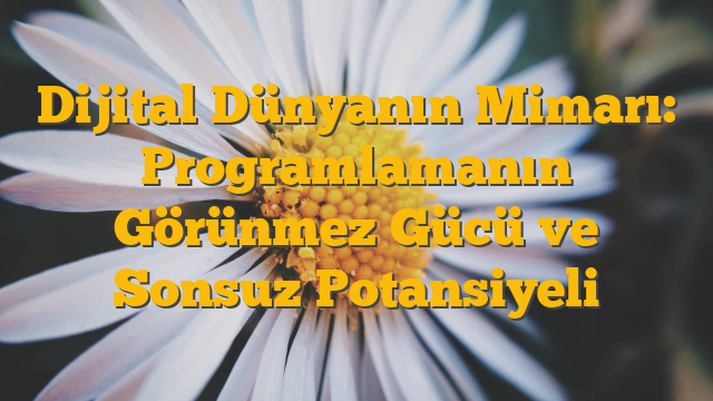 Dijital Dünyanın Mimarı: Programlamanın Görünmez Gücü ve Sonsuz Potansiyeli