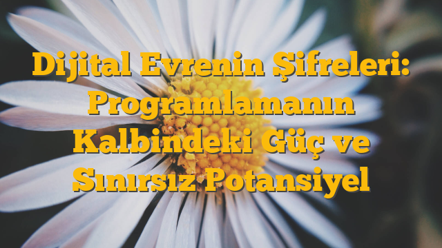 Dijital Evrenin Şifreleri: Programlamanın Kalbindeki Güç ve Sınırsız Potansiyel