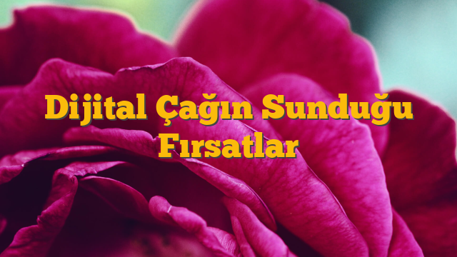 Dijital Çağın Sunduğu Fırsatlar