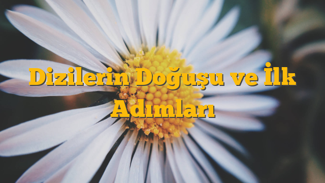 Dizilerin Doğuşu ve İlk Adımları
