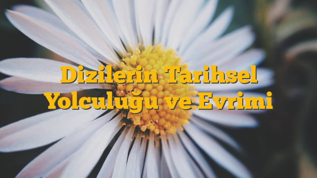 Dizilerin Tarihsel Yolculuğu ve Evrimi