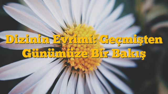Dizinin Evrimi: Geçmişten Günümüze Bir Bakış