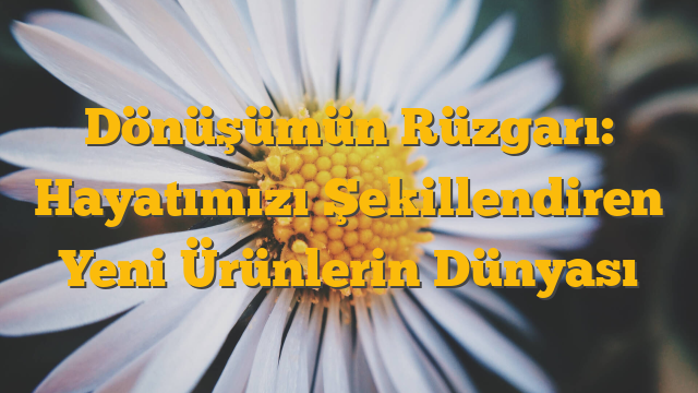 Dönüşümün Rüzgarı: Hayatımızı Şekillendiren Yeni Ürünlerin Dünyası