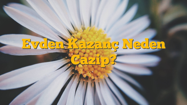 Evden Kazanç Neden Cazip?