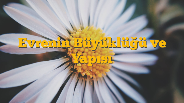Evrenin Büyüklüğü ve Yapısı