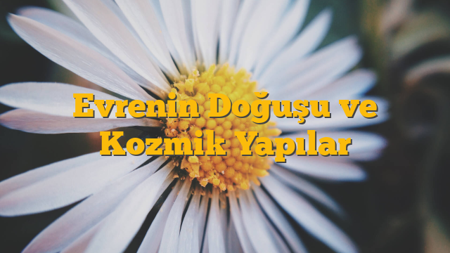 Evrenin Doğuşu ve Kozmik Yapılar