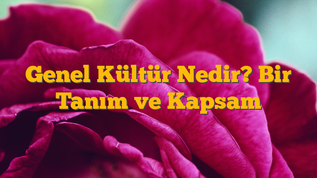 Genel Kültür Nedir? Bir Tanım ve Kapsam