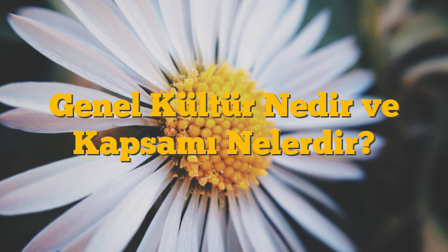 Genel Kültür Nedir ve Kapsamı Nelerdir?