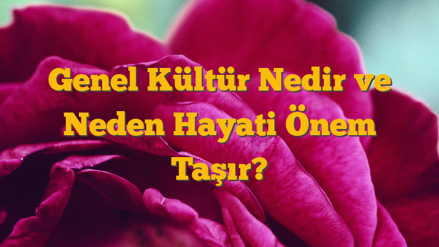 Genel Kültür Nedir ve Neden Hayati Önem Taşır?