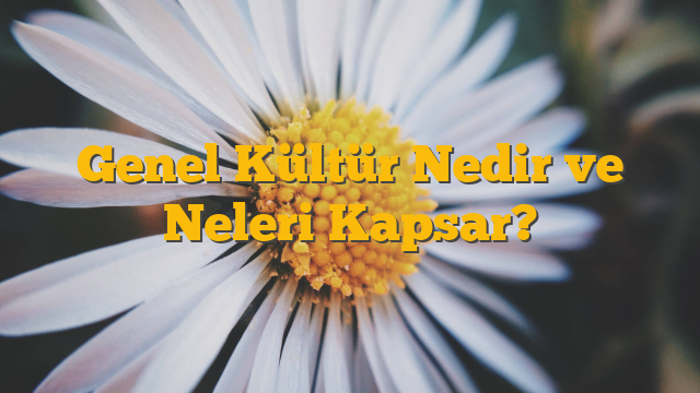 Genel Kültür Nedir ve Neleri Kapsar?
