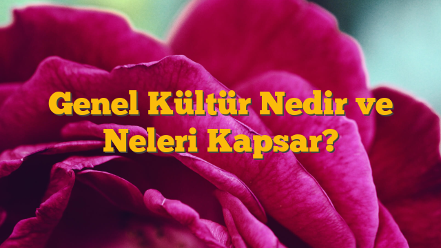 Genel Kültür Nedir ve Neleri Kapsar?