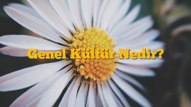 Genel Kültür Nedir?