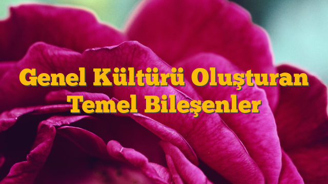 Genel Kültürü Oluşturan Temel Bileşenler