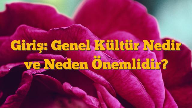 Giriş: Genel Kültür Nedir ve Neden Önemlidir?