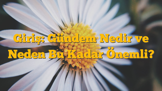 Giriş: Gündem Nedir ve Neden Bu Kadar Önemli?