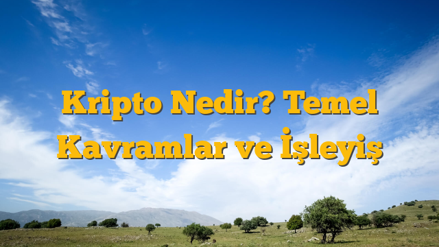 Kripto Nedir? Temel Kavramlar ve İşleyiş