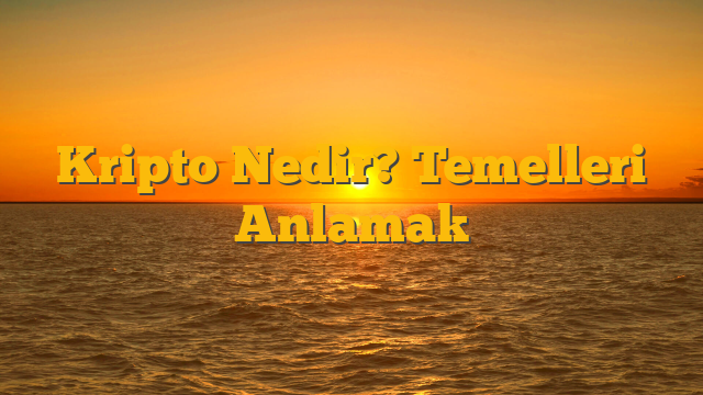 Kripto Nedir? Temelleri Anlamak