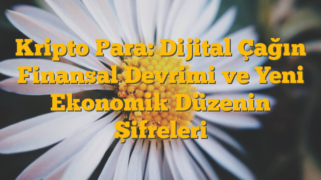 Kripto Para: Dijital Çağın Finansal Devrimi ve Yeni Ekonomik Düzenin Şifreleri