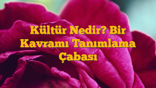 Kültür Nedir? Bir Kavramı Tanımlama Çabası