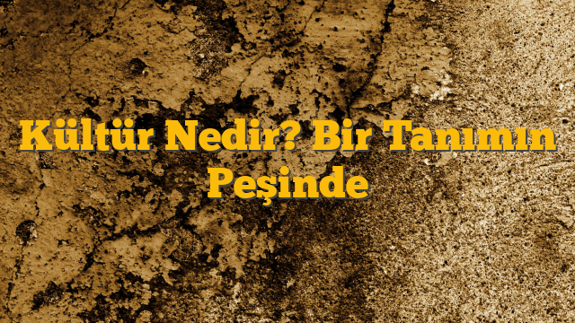 Kültür Nedir? Bir Tanımın Peşinde