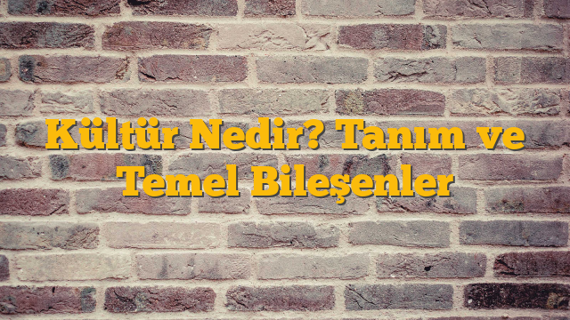 Kültür Nedir? Tanım ve Temel Bileşenler