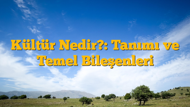 Kültür Nedir?: Tanımı ve Temel Bileşenleri