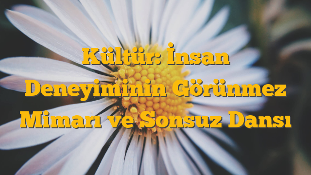 Kültür: İnsan Deneyiminin Görünmez Mimarı ve Sonsuz Dansı