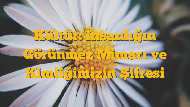 Kültür: İnsanlığın Görünmez Mimarı ve Kimliğimizin Şifresi