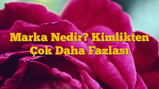 Marka Nedir? Kimlikten Çok Daha Fazlası