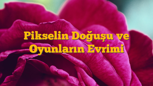 Pikselin Doğuşu ve Oyunların Evrimi