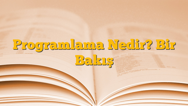 Programlama Nedir? Bir Bakış