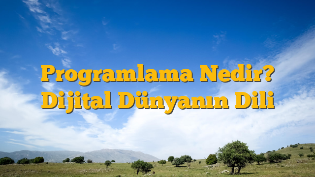 Programlama Nedir? Dijital Dünyanın Dili