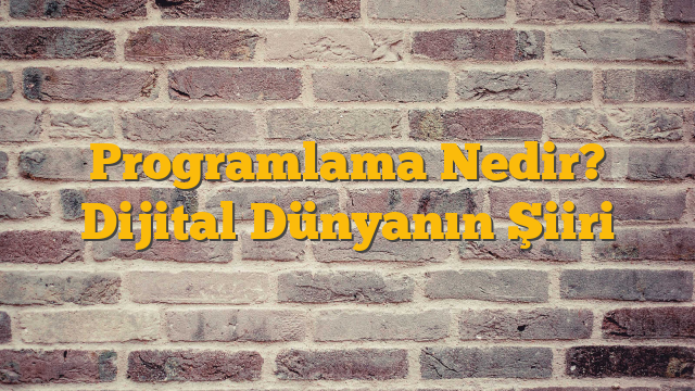 Programlama Nedir? Dijital Dünyanın Şiiri