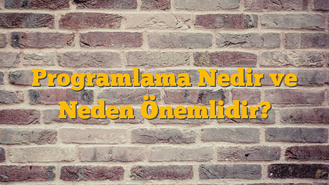 Programlama Nedir ve Neden Önemlidir?