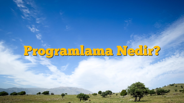 Programlama Nedir?