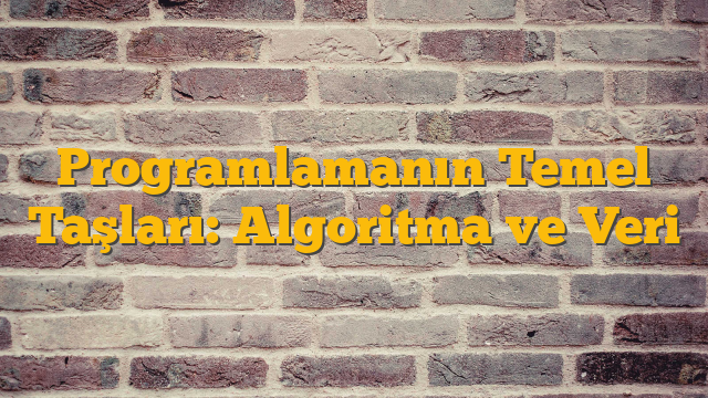 Programlamanın Temel Taşları: Algoritma ve Veri