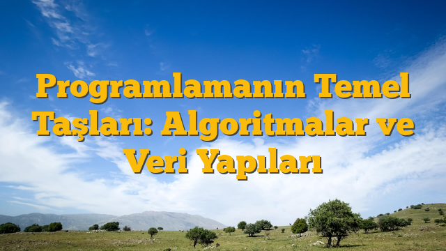 Programlamanın Temel Taşları: Algoritmalar ve Veri Yapıları